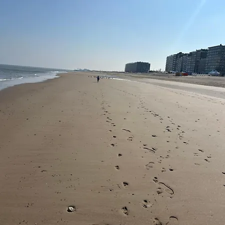 Zilte Rust - Zeedijk Διαμέρισμα