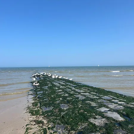 Zilte Rust - Zeedijk Апартаменты