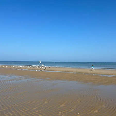 Zilte Rust - Zeedijk Διαμέρισμα Middelkerke