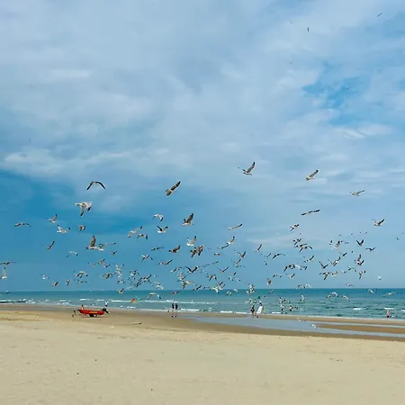 Zilte Rust - Zeedijk *