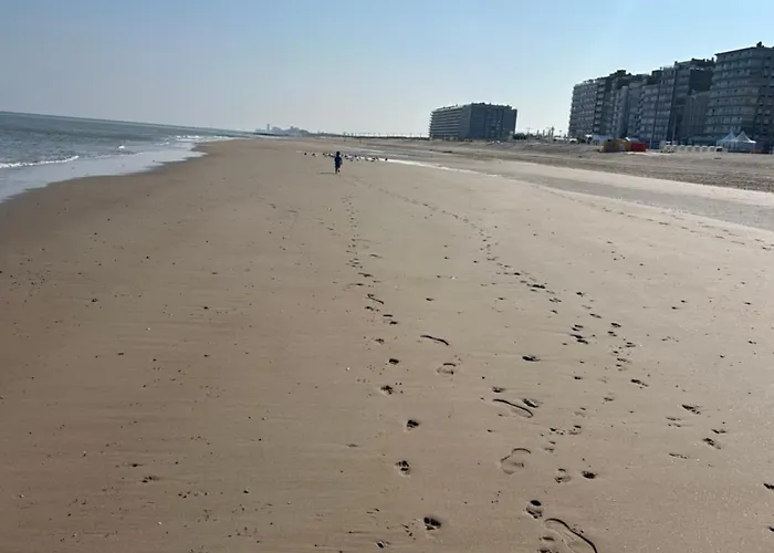 Zilte Rust - Zeedijk Appartement