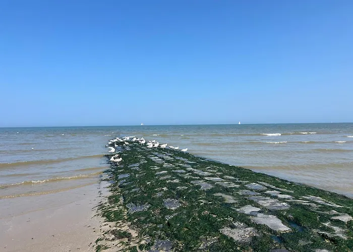 Zilte Rust - Zeedijk Appartement