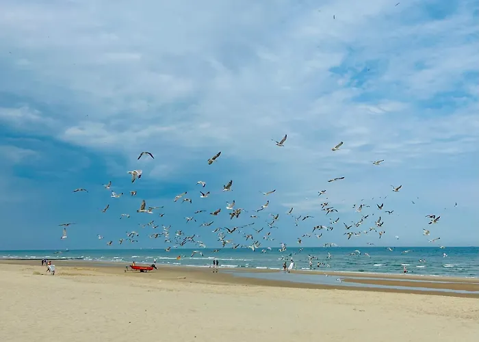 Zilte Rust - Zeedijk *