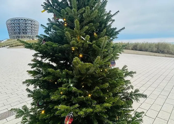 Zilte Rust - Zeedijk Appartement *